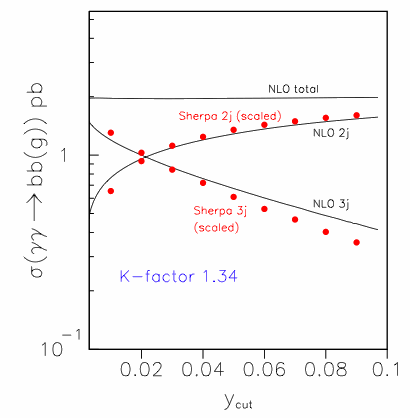 cross section for gamma gamma to b bbar gluon