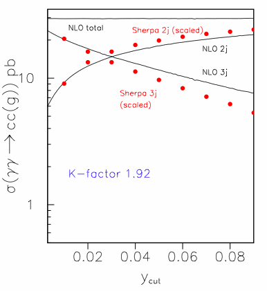 cross section for gamma gamma to c cbar gluon