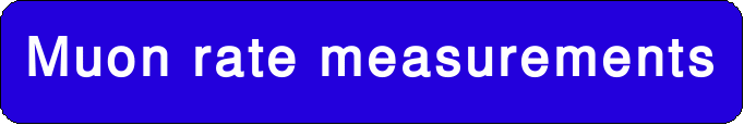 muon rate measurements