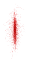 Shower Image (thumb-nail)